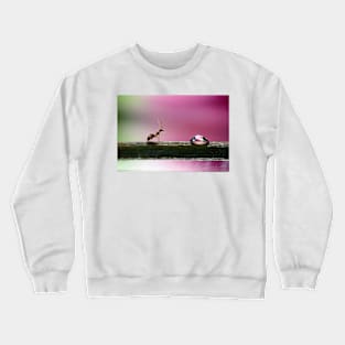 Mirror, mirror on the wall.... Crewneck Sweatshirt